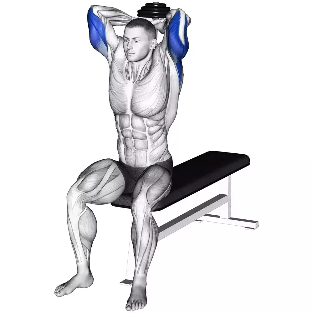 Overhead Dumbbell Extensions